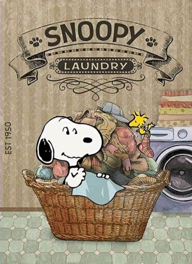 Pin by Kim Rempe on Laundry room cleanup  Snoopy wallpaper Snoopy  cartoon Snoopy pictures