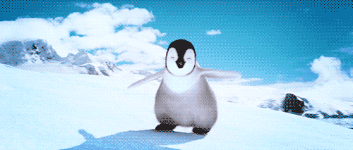 Image result for animals happy dance gif images