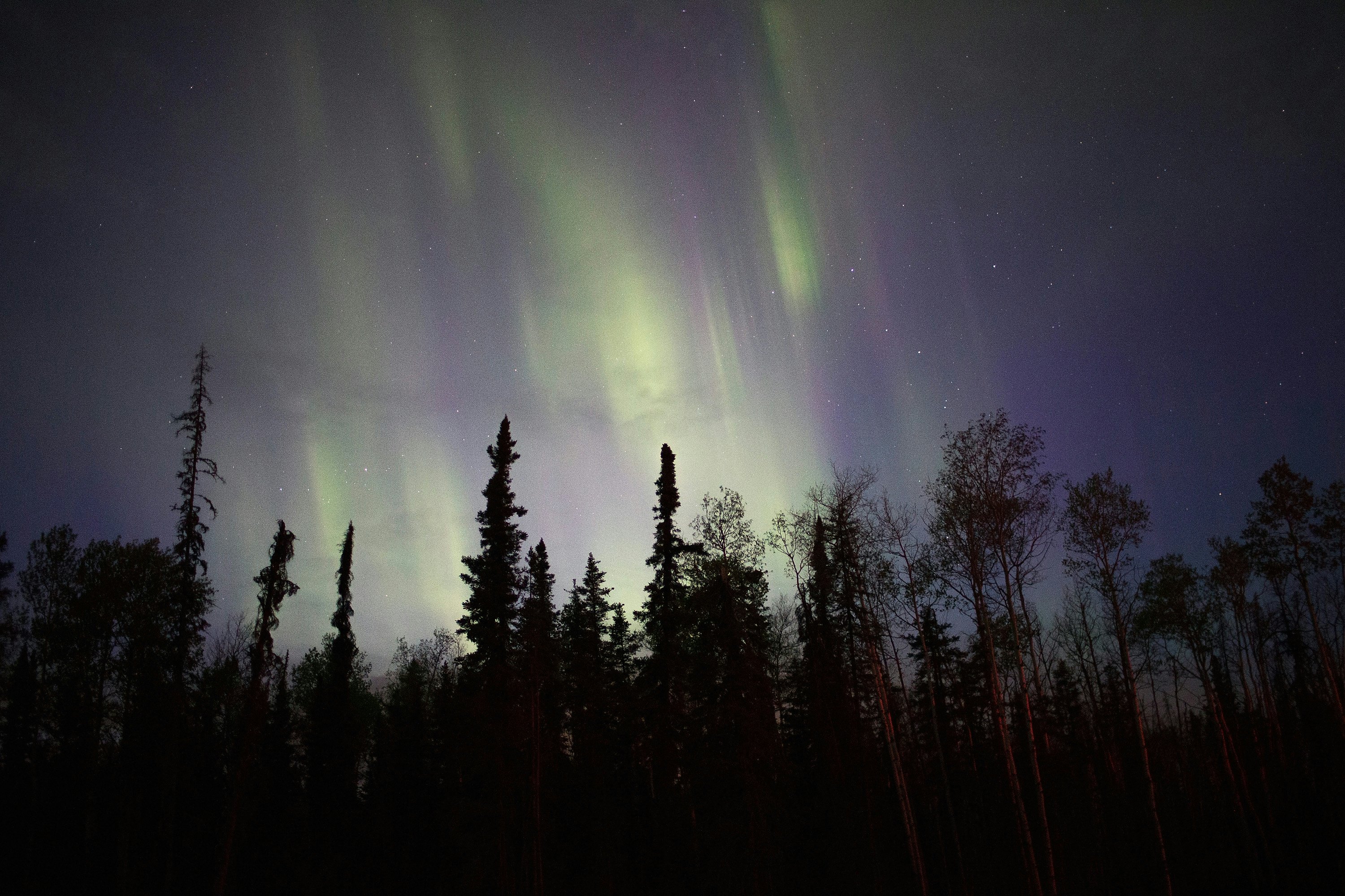 Image result for winter solstice images