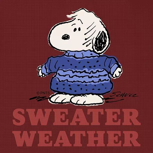 Snoopy  Snoopy love Snoopy pictures Snoopy