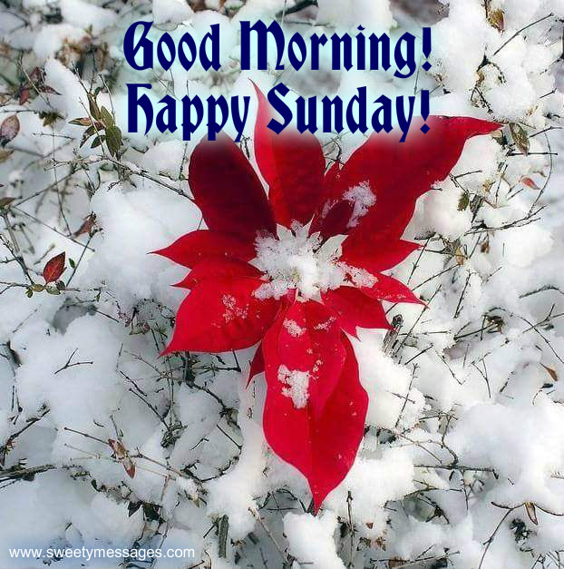 Image result for have a nice sunday images