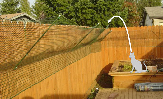 Cat-Proof Fence Guide  Different Options Effectiveness amp Ideas -  Purrfect Fence