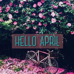 100 Hello April ideas in 2021  hello april april quotes april