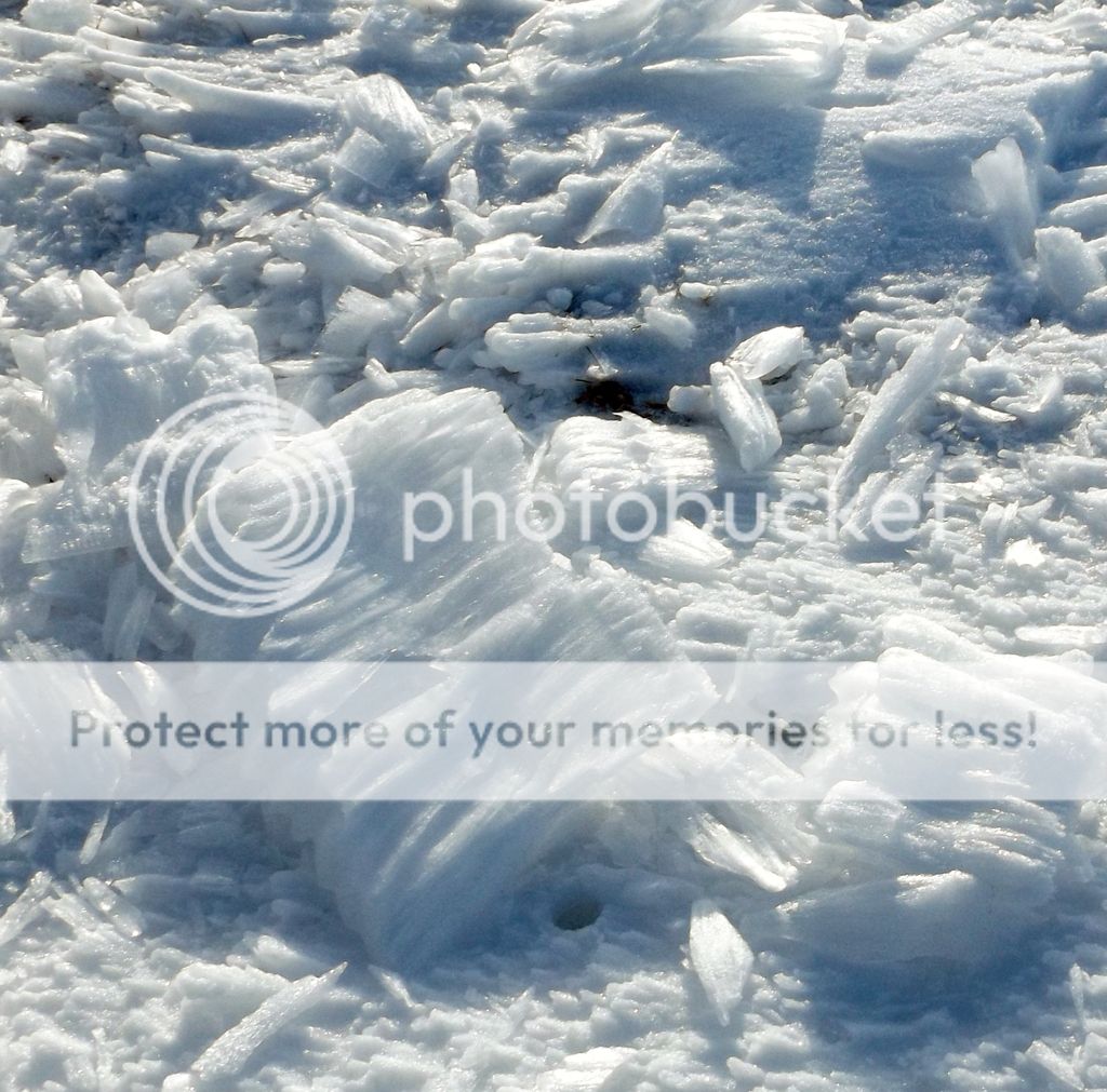 http://i1331.photobucket.com/albums/w595/fairygirl55/DSCF1483_zps8vokpeog.jpg