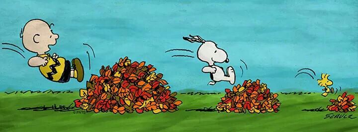 Snoopy and woodstock Snoopy love Snoopy wallpaper
