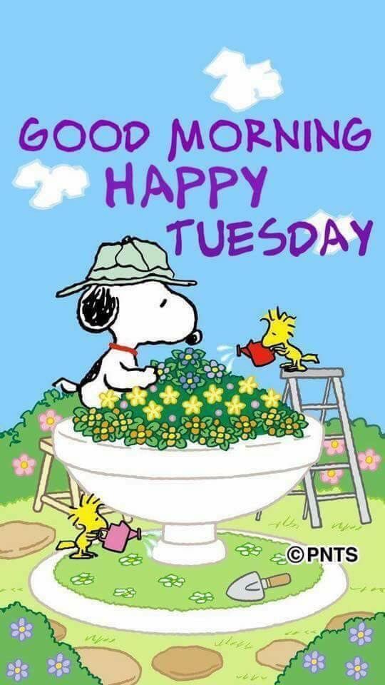 LoveThisPic offers Snoopy Good Morning Happy Tuesday pictures photos   images to be used on F  Happy tuesday pictures Good morning snoopy  Good morning tuesday