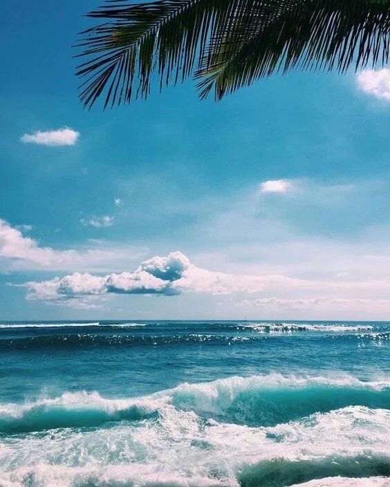 Image: https://i.pinimg.com/564x/5c/8d/5e/5c8d5eae0618be8e1080eb5aeec60ede--summer-vibes-summer-beach.jpg Twitter Beach paradise Beach Ocean vibes