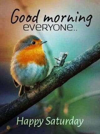 Good Morning Saturday Pics  goodmorningpicscom