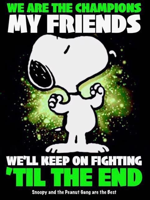 Well keep fighting till the end  Snoopy funny Snoopy pictures Snoopy  love