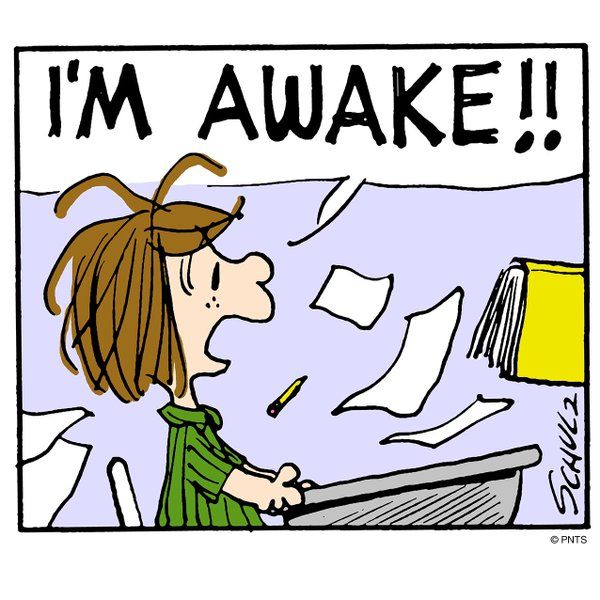 PEANUTS on Twitter  Snoopy funny Snoopy cartoon Snoopy love