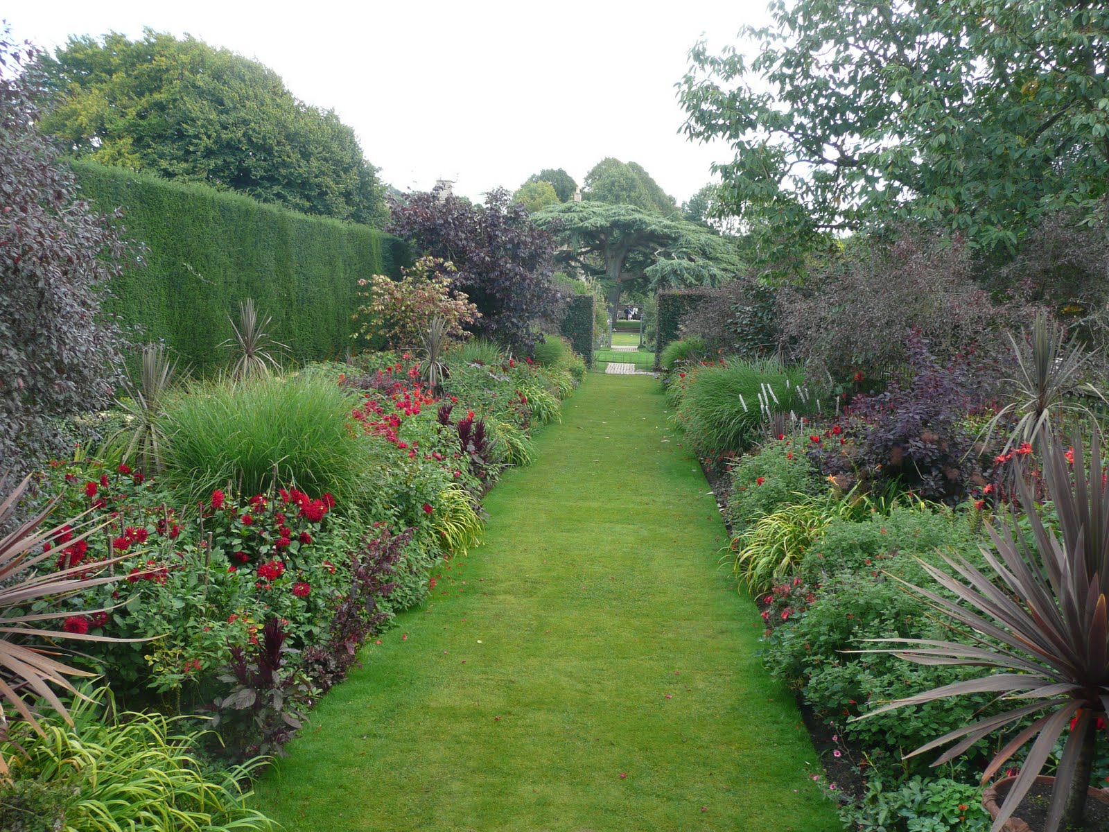 http://2.bp.blogspot.com/_fshVU_-SL2o/TJfera9LSxI/AAAAAAAABHM/Q8PLM5s9ol4/s1600/Hidcote+red.jpg