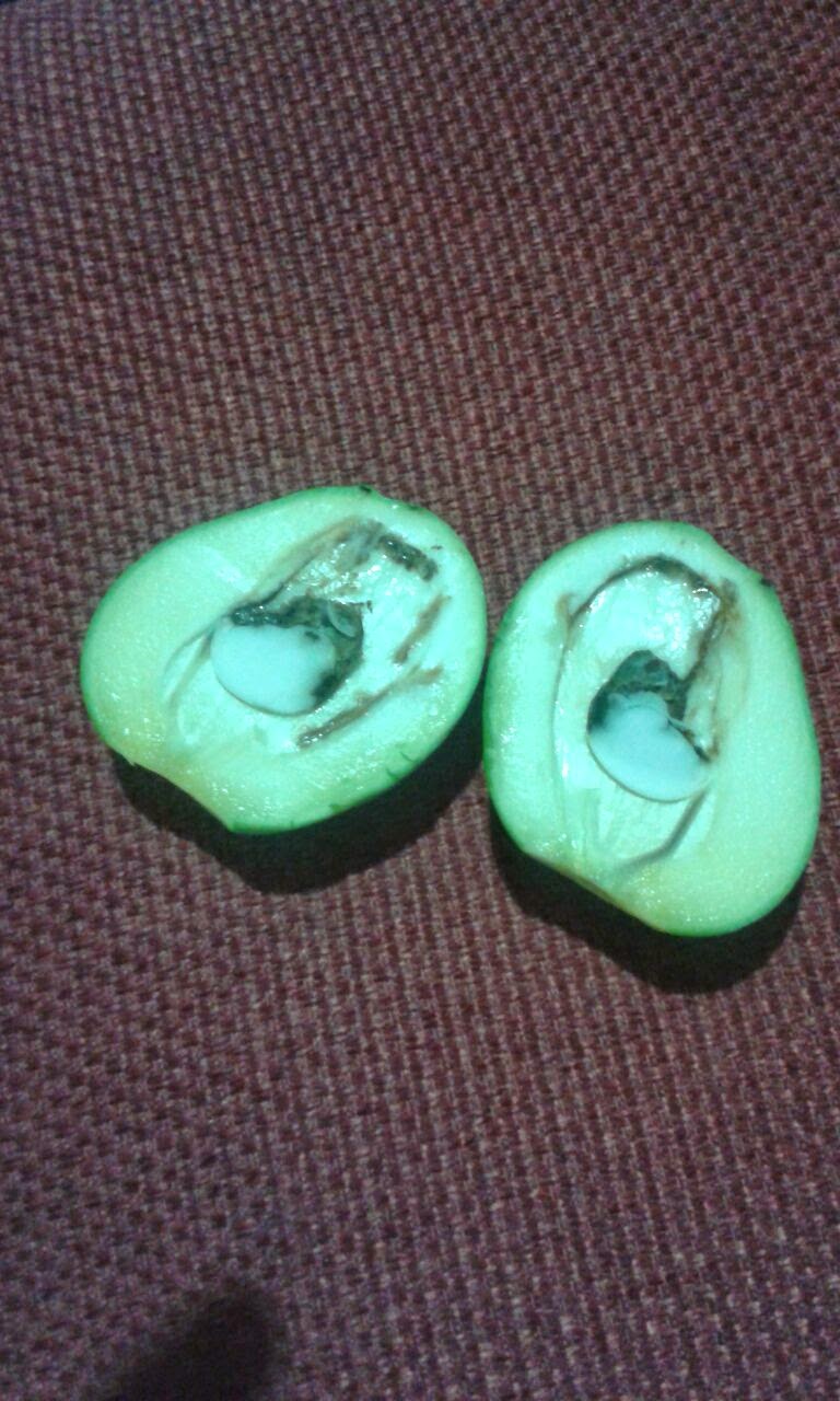 http://i.imgur.com/Z4om852.jpg