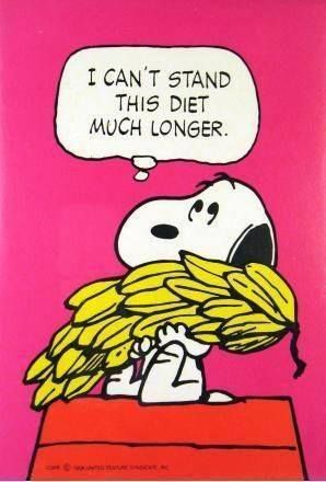 Snoopy With Bunch of Bananas - I Cant Stand This Diet Much
