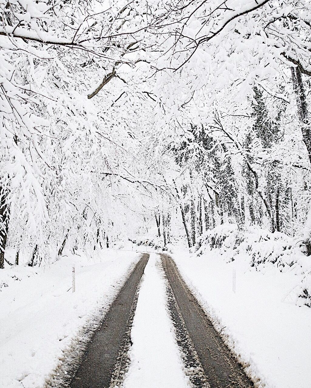 Winter  wonderland Beautiful places Outdoor