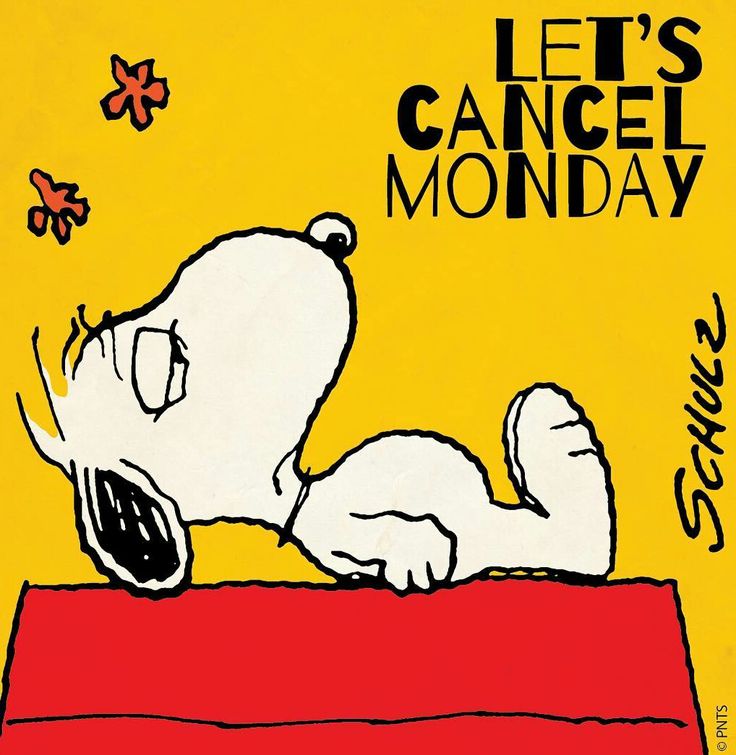 Snoopy  Snoopy quotes Snoopy funny Snoopy love