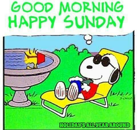 Happy Sunday  Good morning happy sunday Snoopy funny Happy sunday quotes