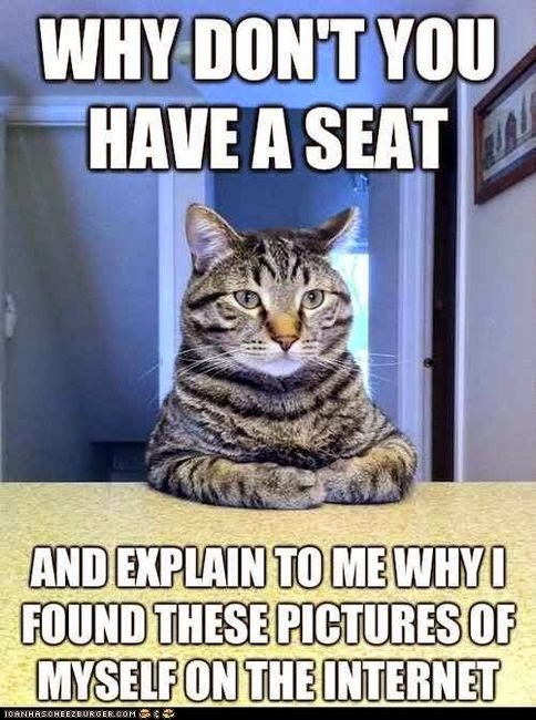 Happy Thursday And Cat Memes - Running on Happy