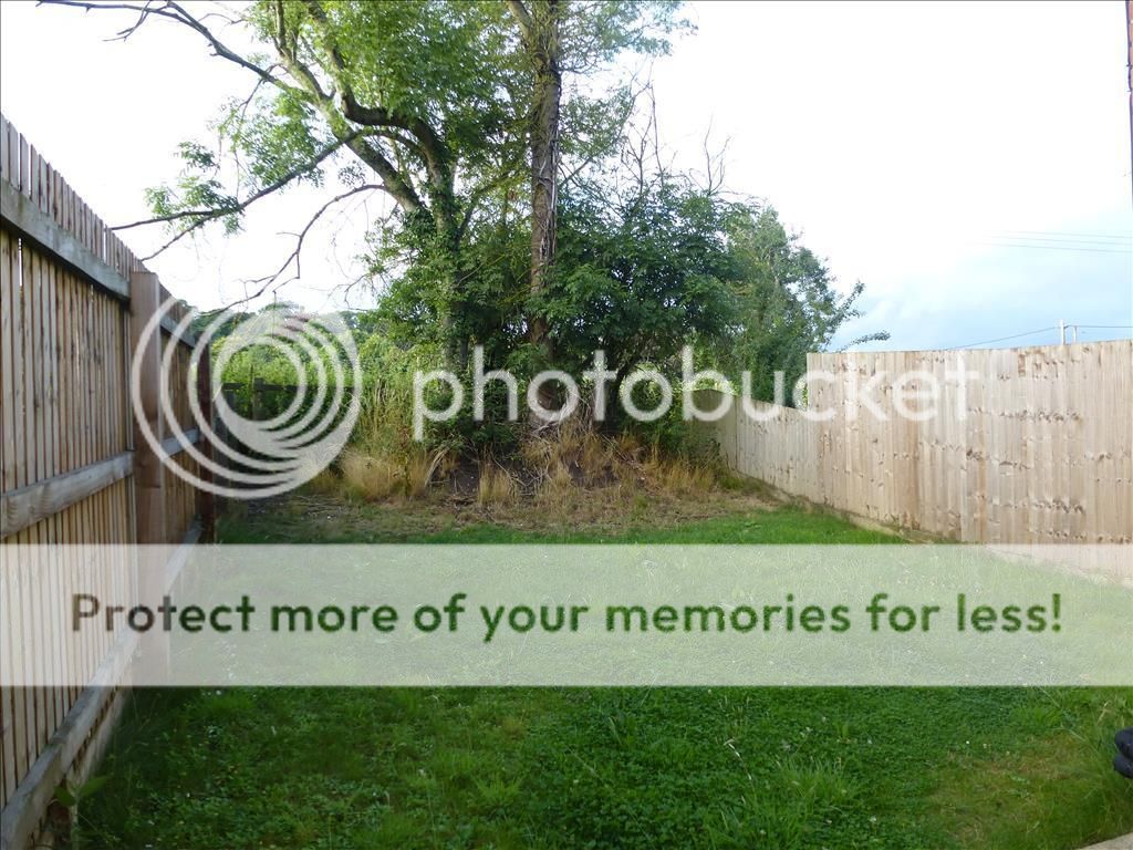 http://i13.photobucket.com/albums/a288/dan_almond/2077_SAY102506_IMG_08_0000.jpg