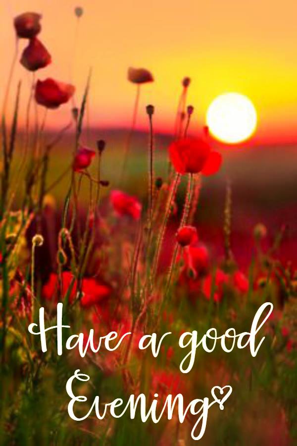Have a good evening Nature ecard The best greeting card for You