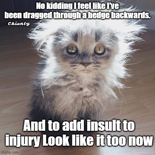 No kidding - Imgflip