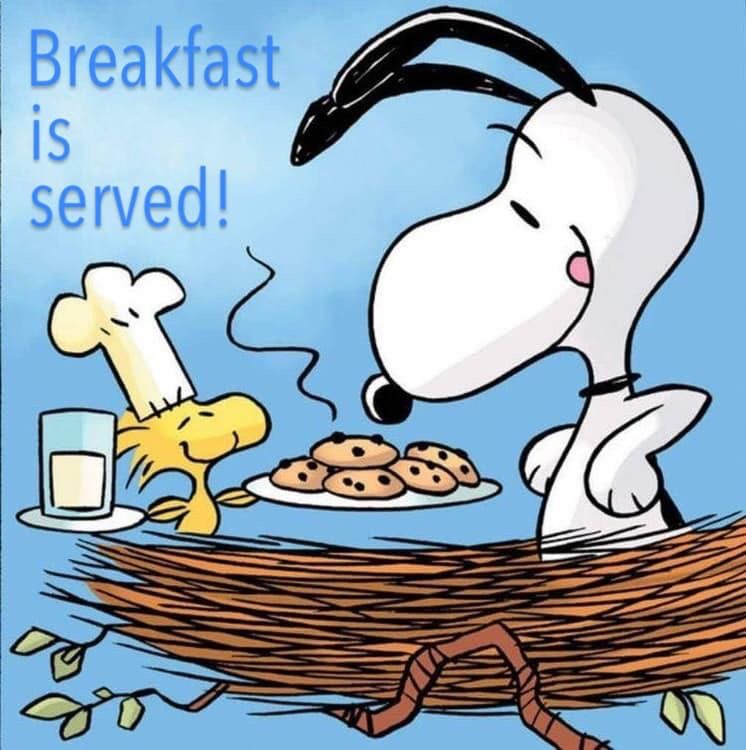 Pin de Ruthann McCoy en Snoopy and Woodstock  Woodstock snoopy Snoopy  Imgenes de snoopy