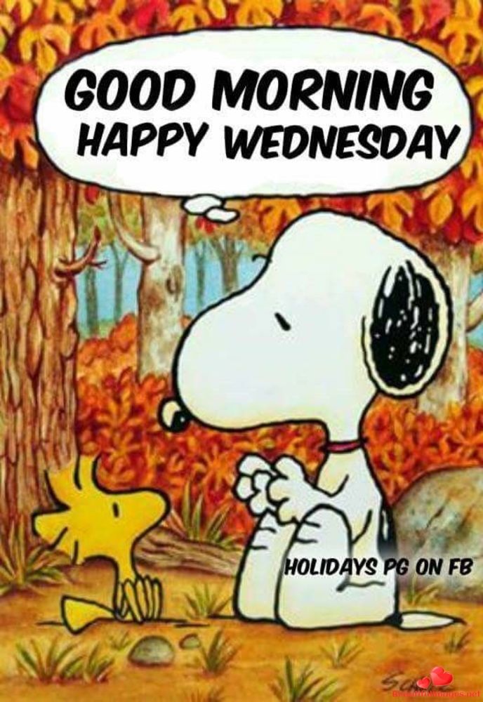 Download for free nice good images for your Wednesday Facebook and  Whatsapp Share to your friends the  Good morning snoopy Snoopy quotes  Happy wednesday quotes