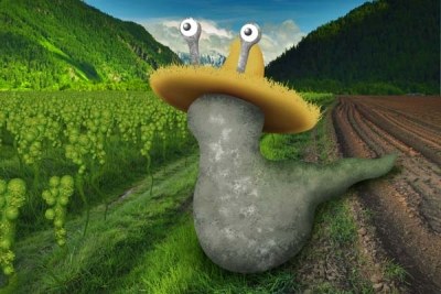 http://plus.maths.org/issue40/features/wilson/slug.jpg