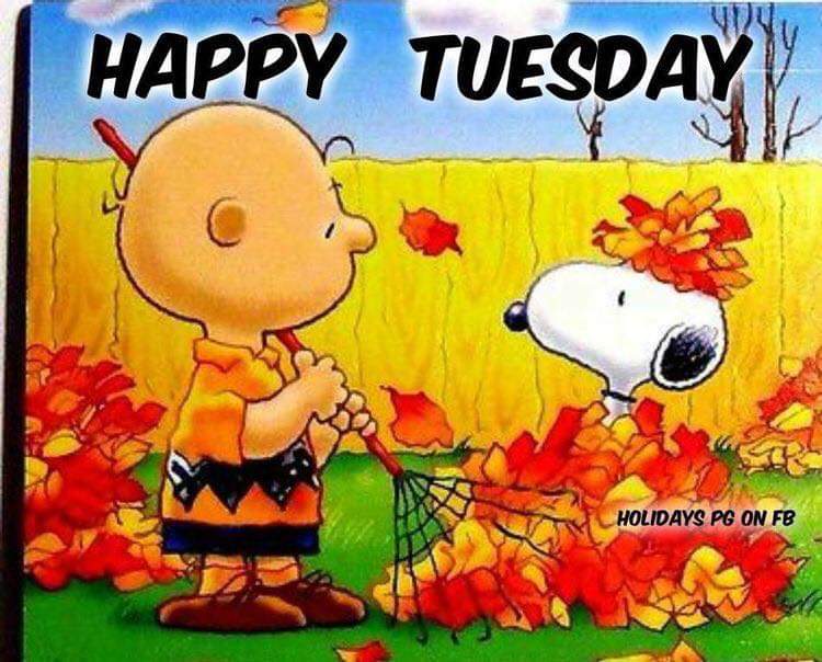 Good Morning Snoopy Tuesday - 750x604 - Download HD Wallpaper - WallpaperTip