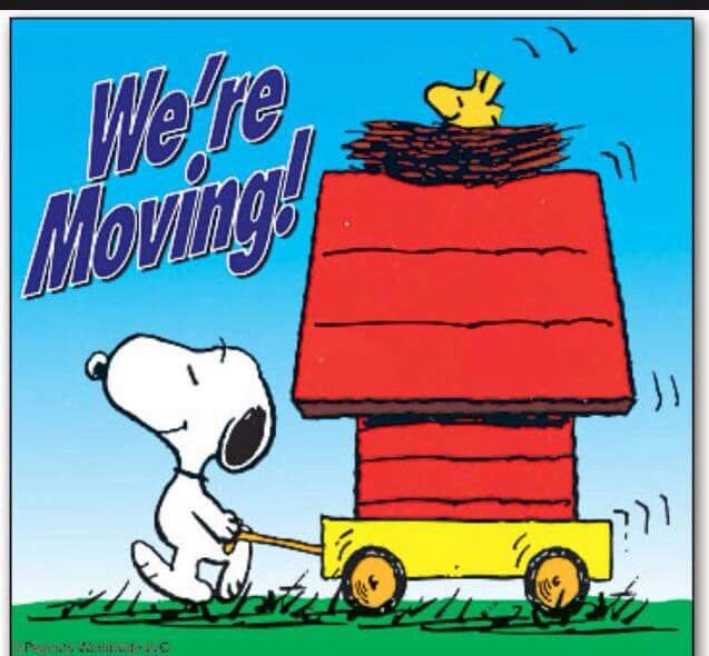 Peanuts  Snoopy funny Snoopy and woodstock Snoopy love