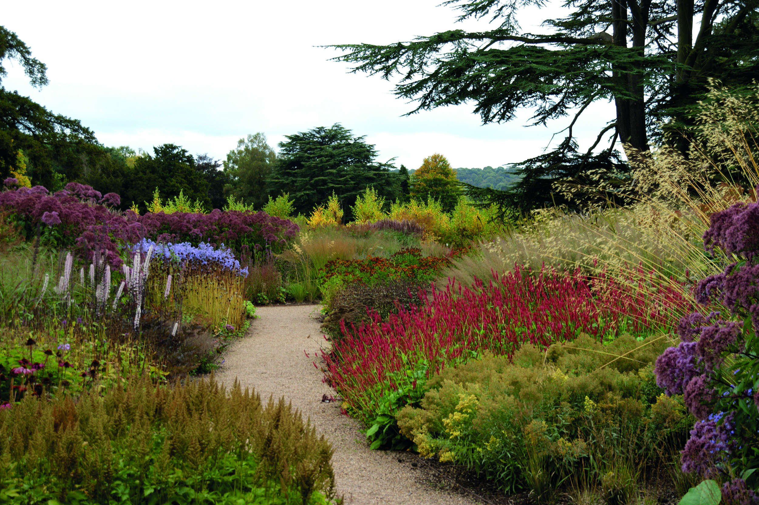 httpscdngardenistacomwp-contentuploads201511oudolf-hummelo-gardenosta-p300jpg