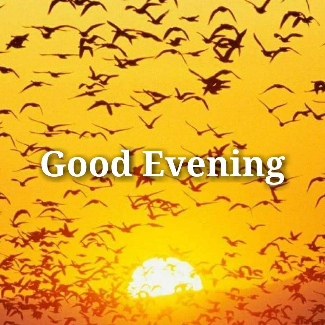 Good Evening Best Images All - Good Evening To All - 1080x1080 Wallpaper -  teahubio