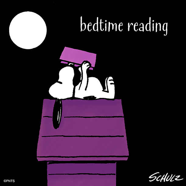 PEANUTS on Twitter  Snoopy love Snoopy Snoopy quotes