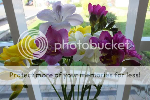 http://i27.photobucket.com/albums/c186/DavidKnapper/002_zps5bb8e167.jpg