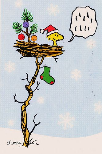 Totally SFW A random collection of the most beautiful things I can find  Some pictures are mine  Charlie brown christmas Snoopy christmas Peanuts  christmas
