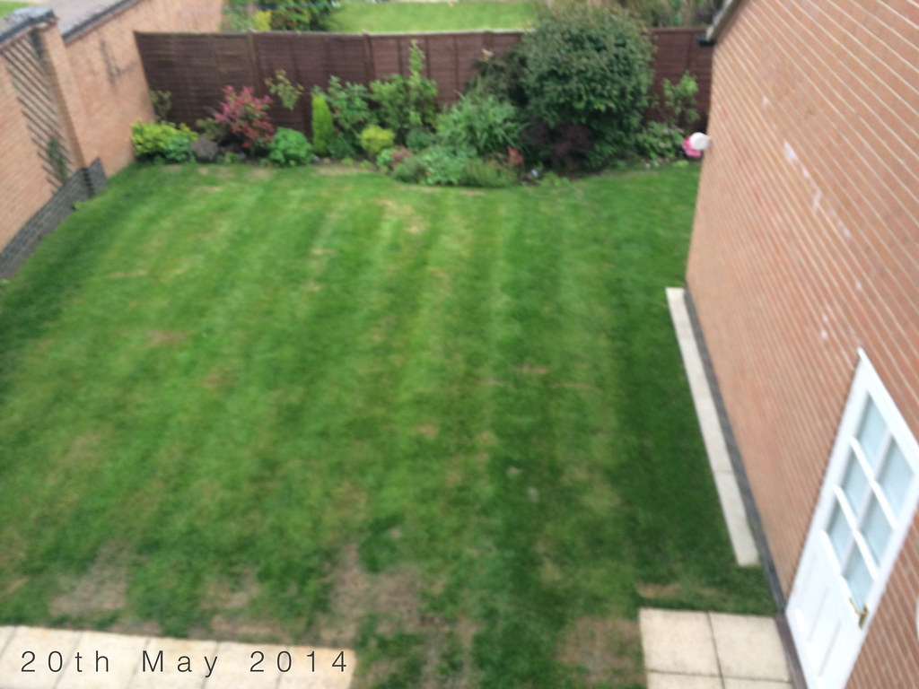 https://farm6.staticflickr.com/5572/14229528502_6228c5b2b1_b.jpg