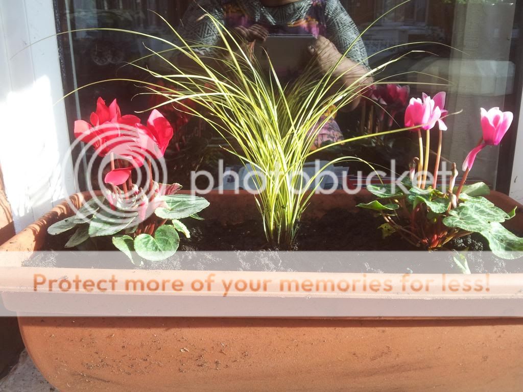 http://i1300.photobucket.com/albums/ag97/Bev_Pounsett-Krynauw/0530-10-13_zpsa6e81577.jpg