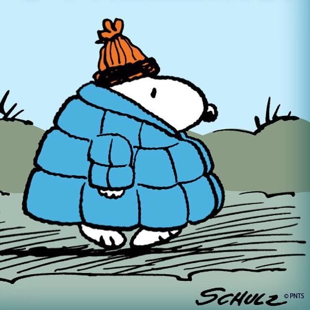 Snoopy - Timeline Photos  Snoopy funny Snoopy Snoopy love