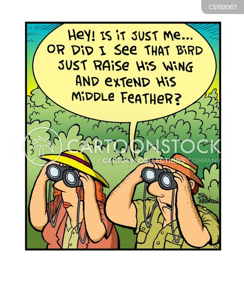 Image result for bird watcher cartoon