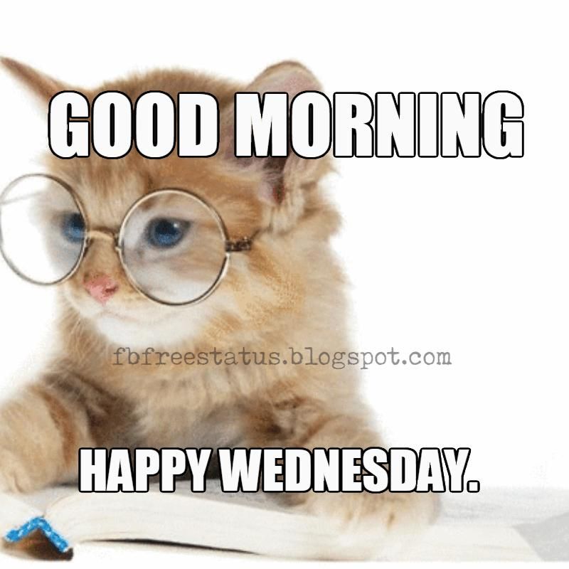 Image result for wednesday meme