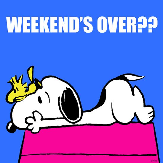 29 Snoopy Weekends ideas  snoopy snoopy quotes snoopy love