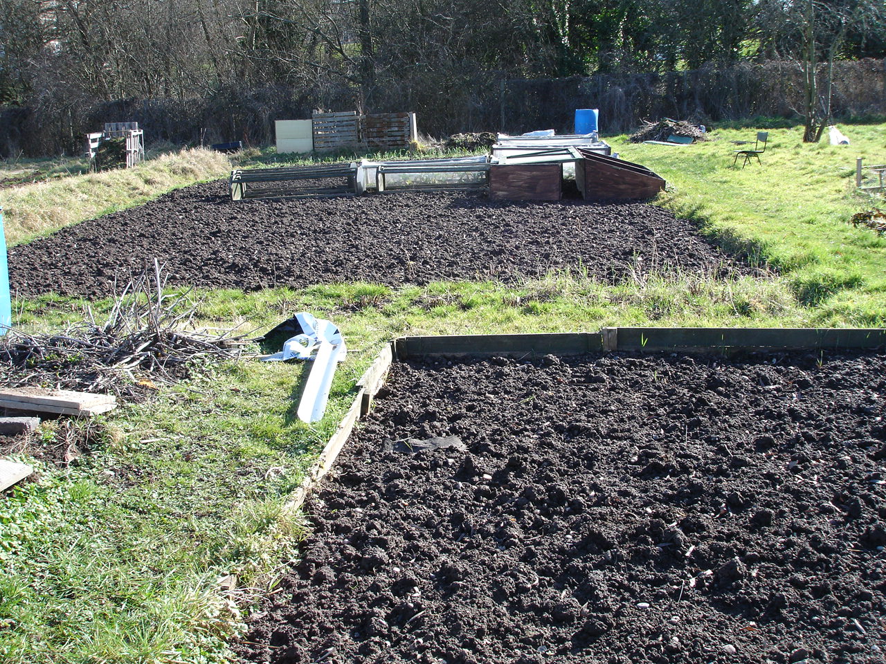 Allotment Girl