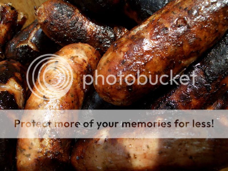 http://i1143.photobucket.com/albums/n627/thedogcody/800px-Grilled_sausages.jpg