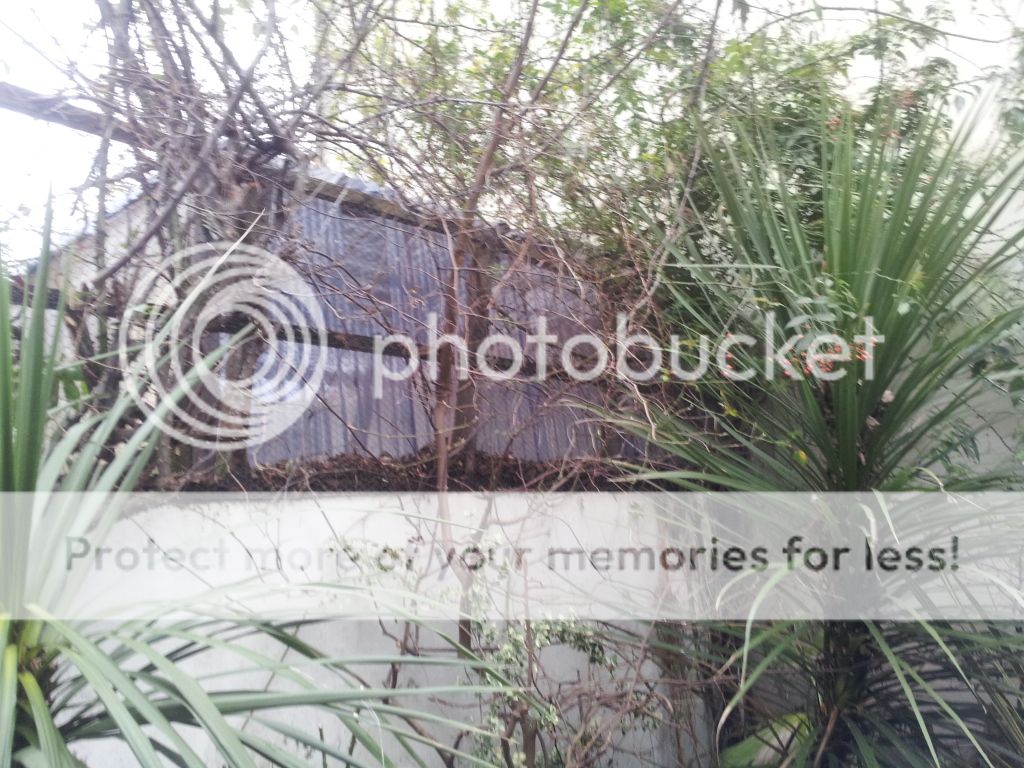 http://i423.photobucket.com/albums/pp315/skaboy607/IMG_20130224_161324_zps02fad07a.jpg