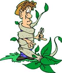 Image result for gardening cartoon  images