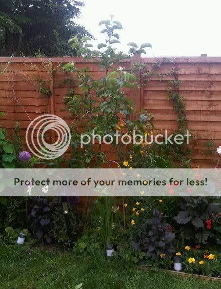 http://i1048.photobucket.com/albums/s373/leggi2/Garden2.jpg
