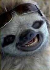 TheSloth
