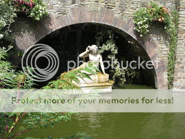 http://i27.photobucket.com/albums/c186/DavidKnapper/Shrewsbury/DSCN0418.jpg