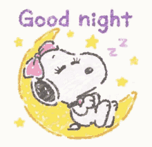 Snoopy Night GIFs  Tenor