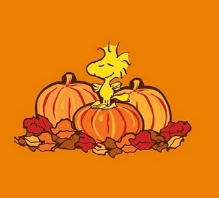 Woodstock amongst the pumpkins  Snoopy halloween Snoopy wallpaper Snoopy  pictures