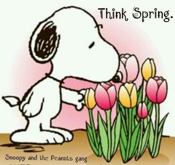 330 Spring Time ideas  spring time spring pictures spring